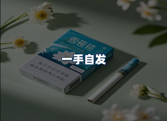 专业团队办公环境